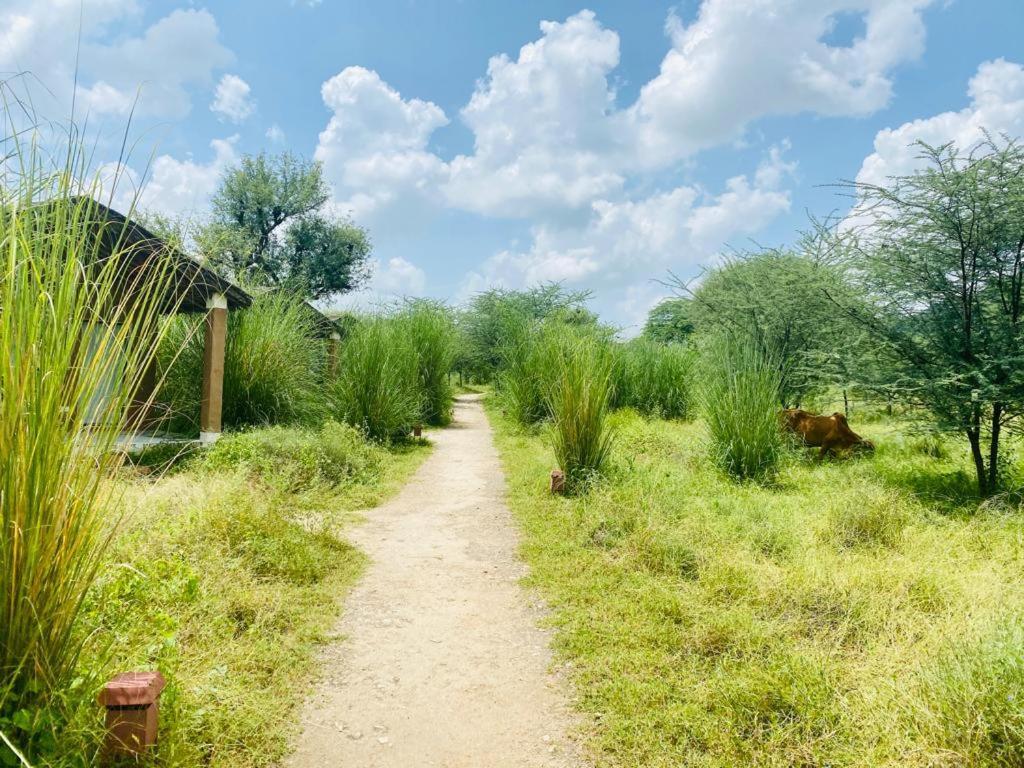 Hotel Camp Lands End Pushkar Esterno foto